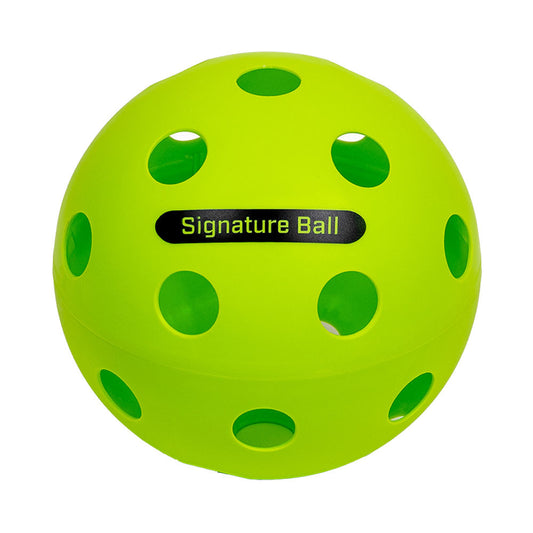 The PPa Giant Pickleball | Pickleball Sports