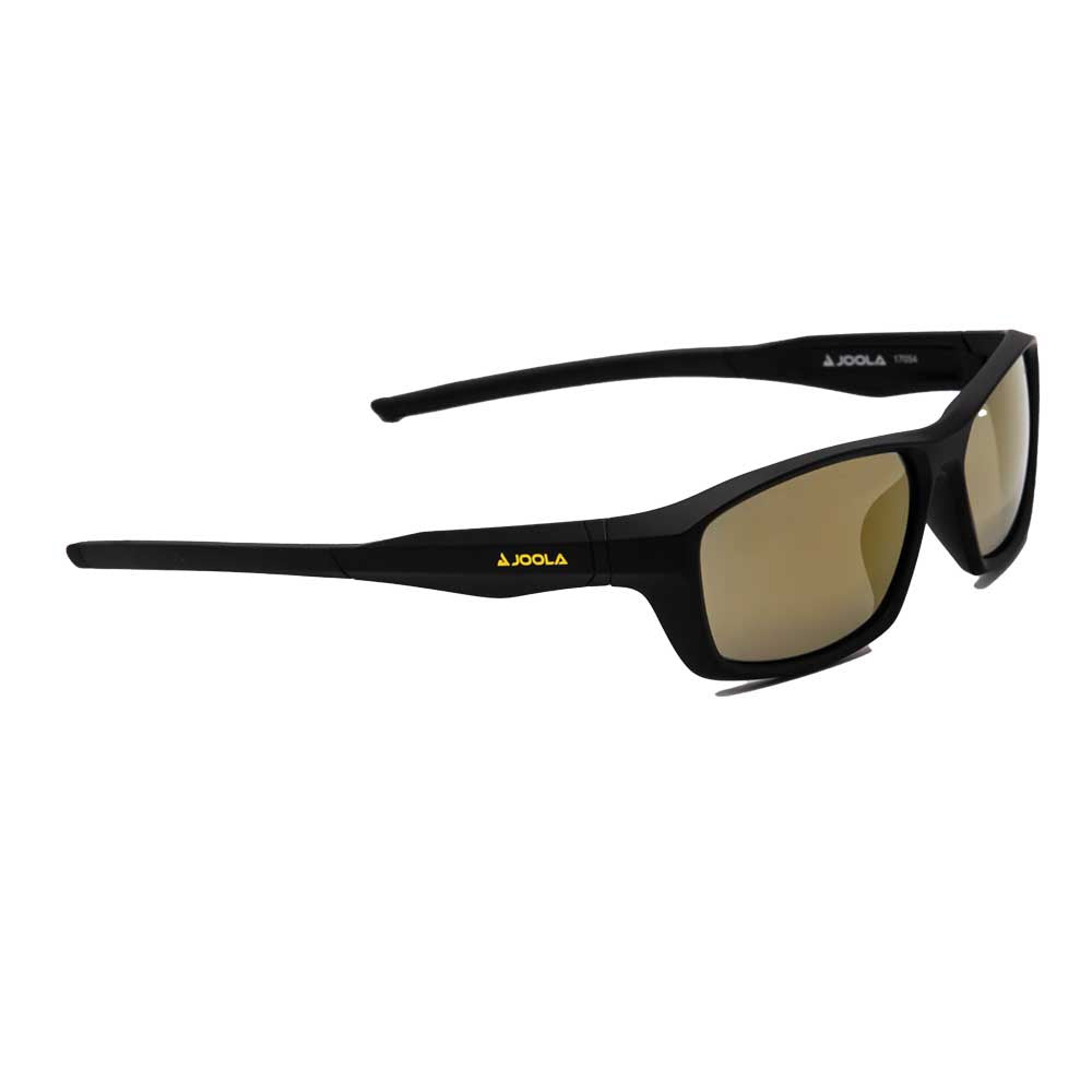 JOOLA RJX Enhance Eyewear | Pickleball Sports